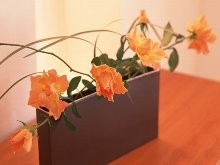 医療法人社団江別やまもと整形外科の求人画像