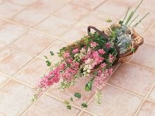 社会福祉法人薫会　特別養護老人ホーム北九州シティホームの求人画像