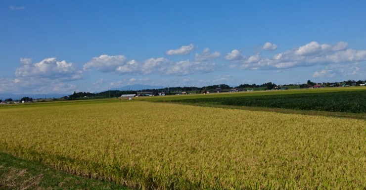 合同会社たつみの風　たつみの風訪問看護ステーションの求人画像